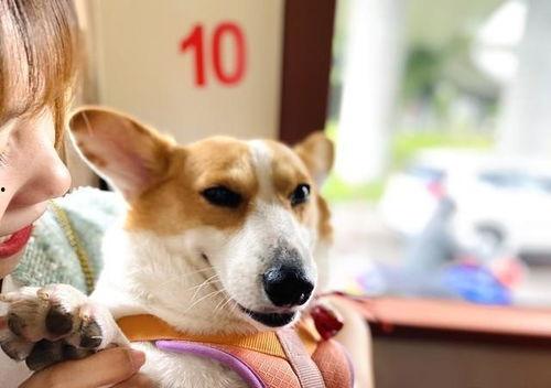 企鹅吃瓜爆料最新版,娱乐圈最新猛料大揭秘！  第1张