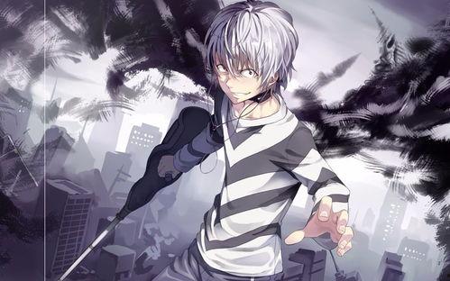 全网第一个爆料佐助的视频,揭秘佐助神秘视频背后的惊人真相！