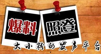 怎么爆料当地新闻的人,如何成为一线记者的幕后英雄 第1张 怎么爆料当地新闻的人,如何成为一线记者的幕后英雄 第1张